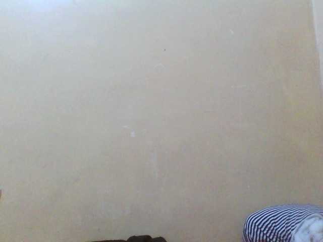 Beexy