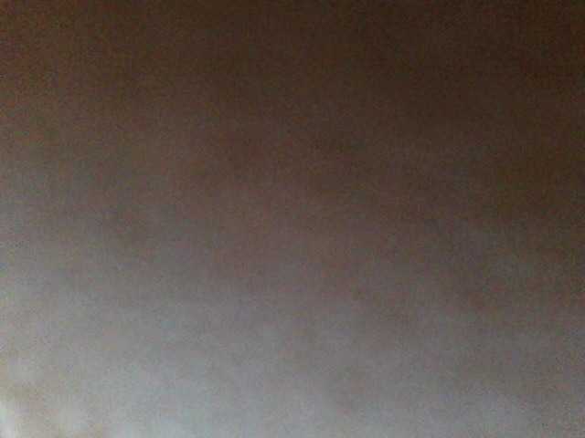 Beexy