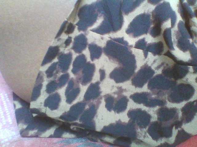 Beexy