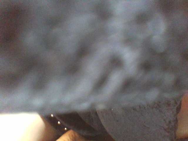 Beexy