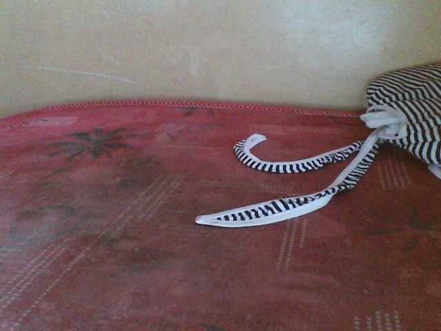 Beexy
