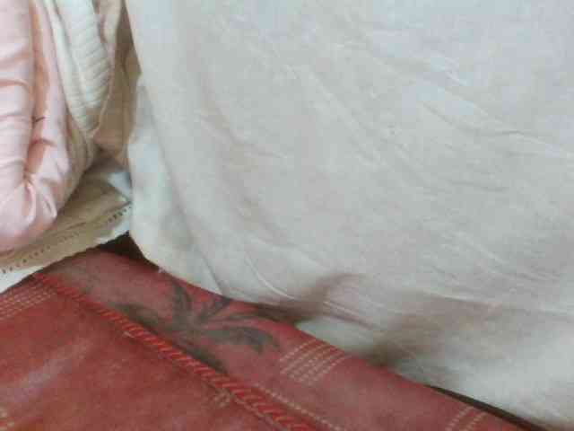 Beexy webcam