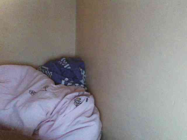 Beexy