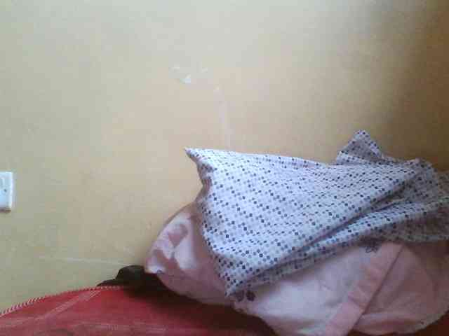 Beexy webcam