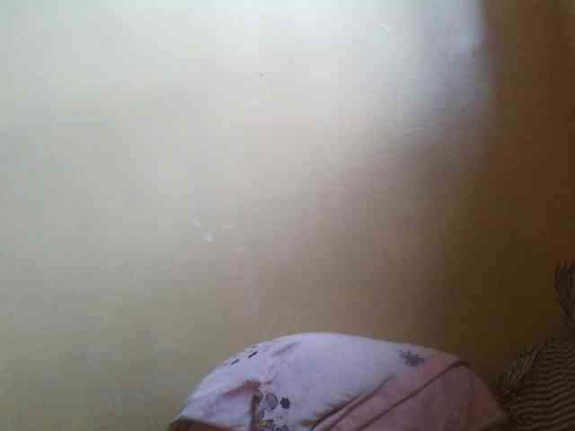 Beexy