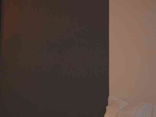 Modella: EvelynEvyy