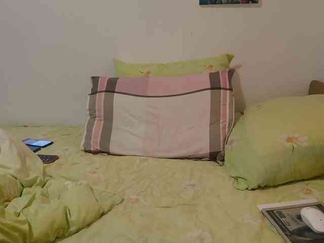 VikaOnline webcam