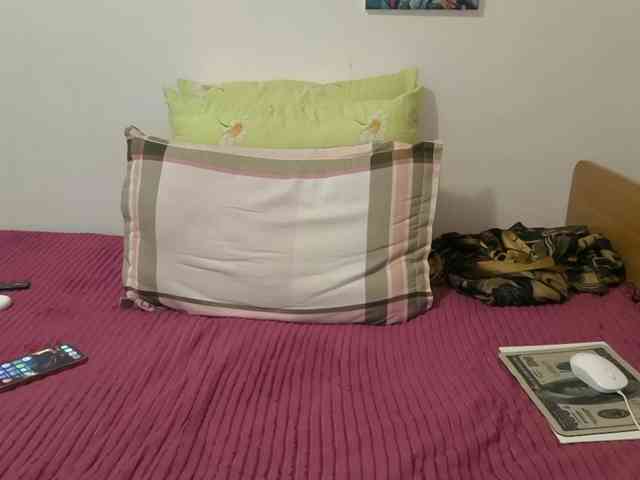 VikaOnline webcam