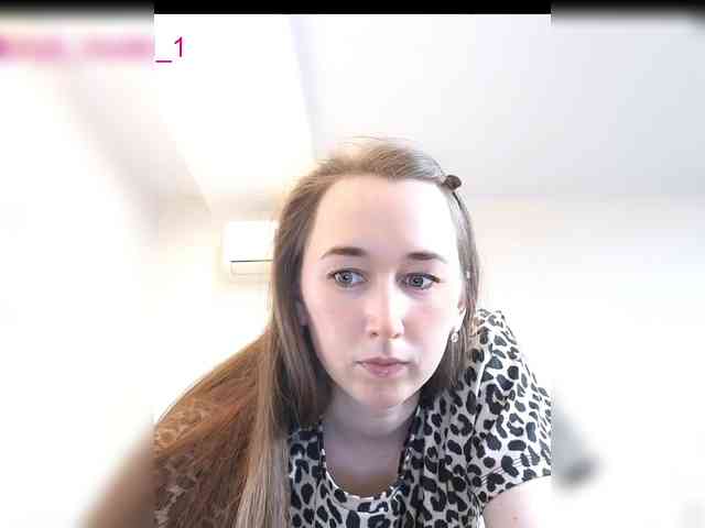 --MODEL--1 webcam