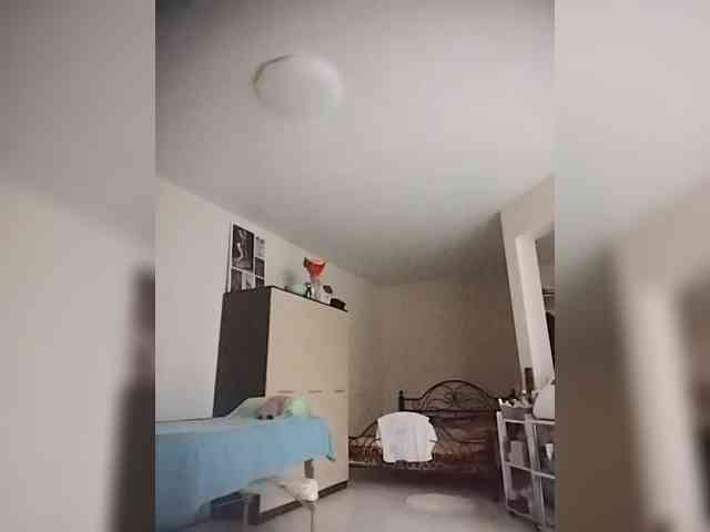 --MODEL--1 webcam