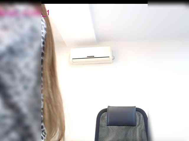 --MODEL--1 webcam