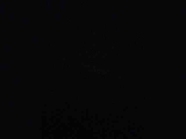 RobinRandy webcam