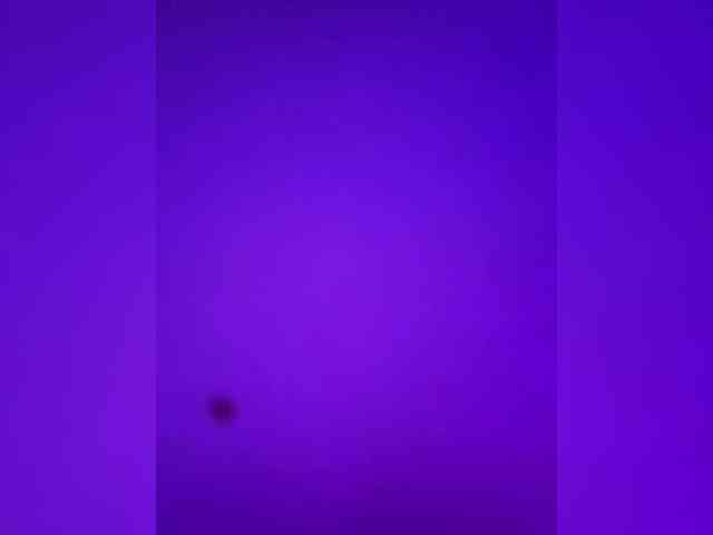 Model: Sex_NighT