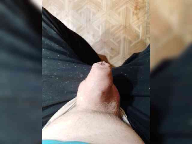 Totoro Sex Cam Show