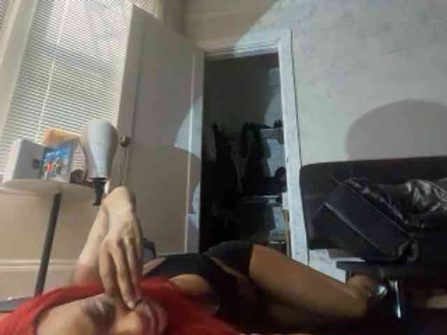 DelightfulDark webcam