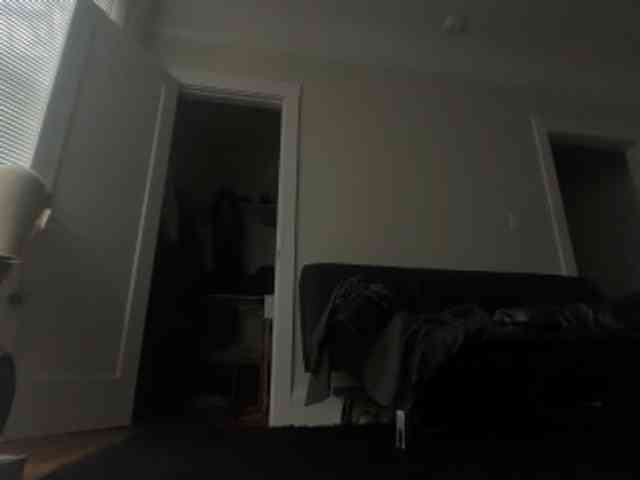DelightfulDark webcam