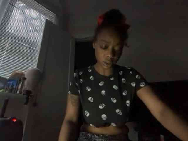 DelightfulDark webcam