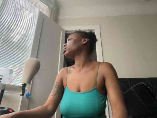 DelightfulDark webcam