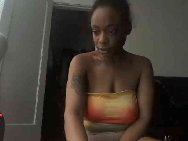 DelightfulDark webcam