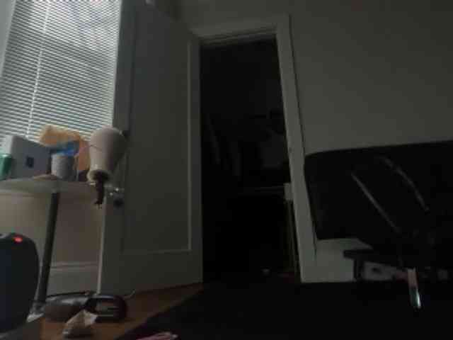 DelightfulDark webcam