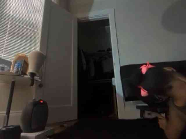 DelightfulDark webcam