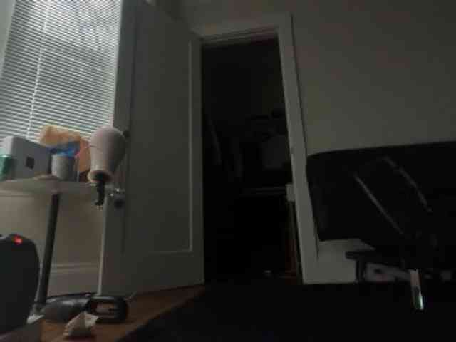 DelightfulDark webcam