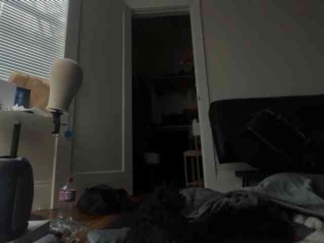 DelightfulDark webcam