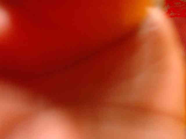 SWETTBROWN webcam