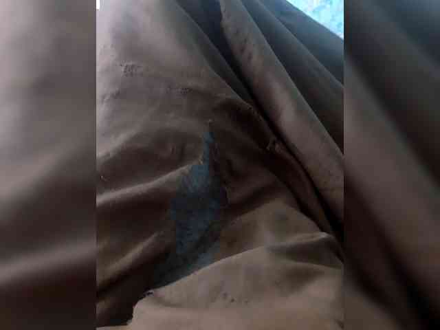 AnuN