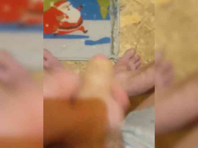 AnuN AnuN
