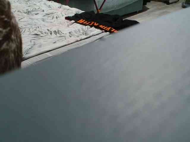 Panikaa