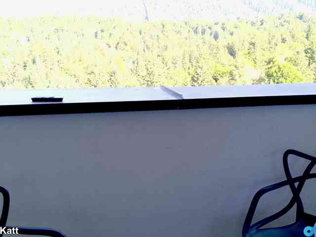 LilouKatt webcam