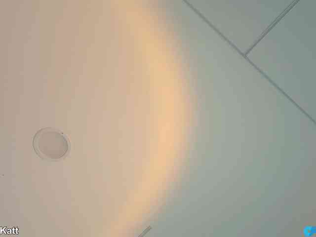 LilouKatt webcam