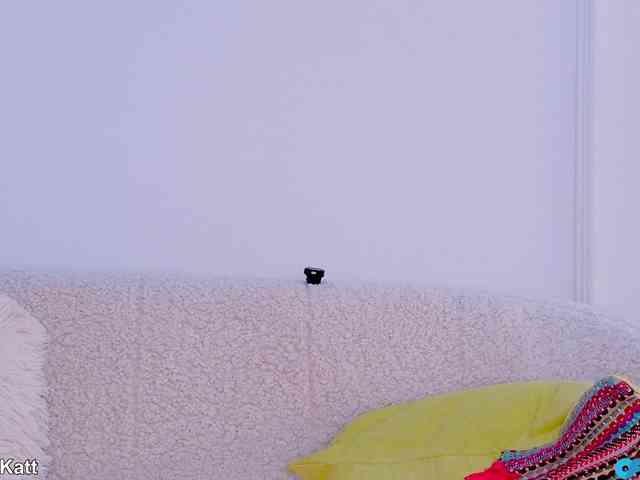 LilouKatt webcam
