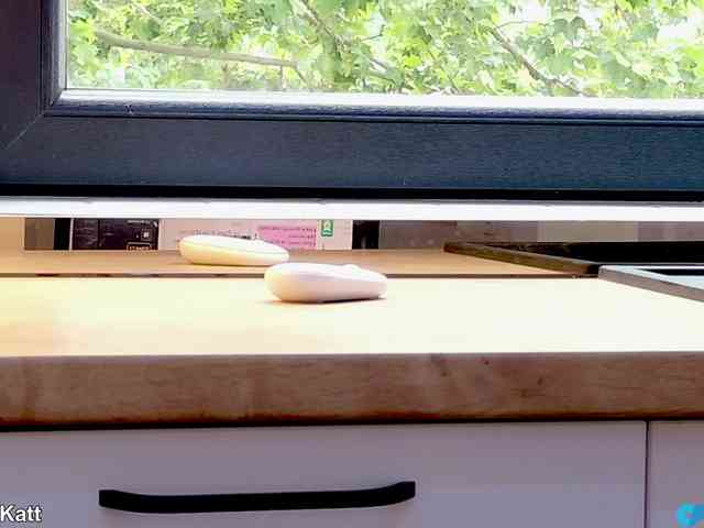LilouKatt webcam