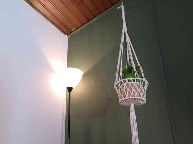 ELECKTRA-SWEET webcam