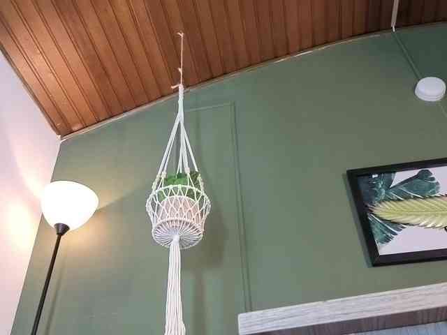 ELECKTRA-SWEET webcam