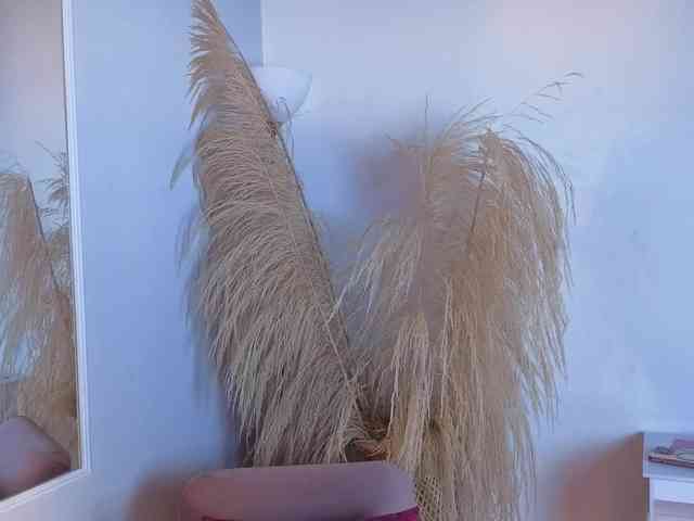 ELECKTRA-SWEET webcam