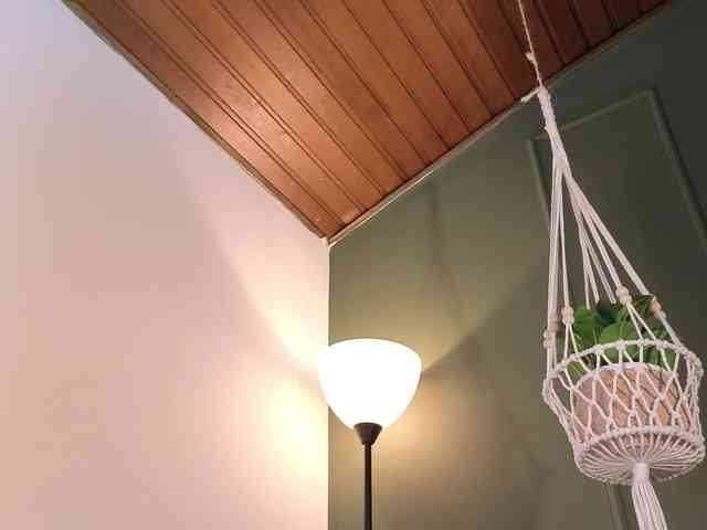 ELECKTRA-SWEET webcam