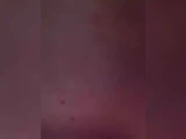 meow-777