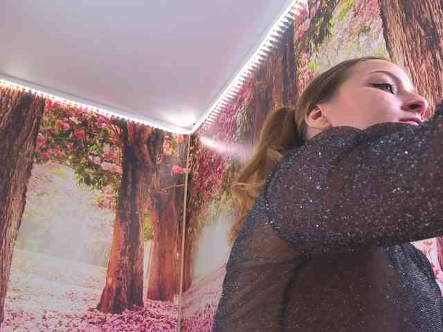 Erotic-cum webcam