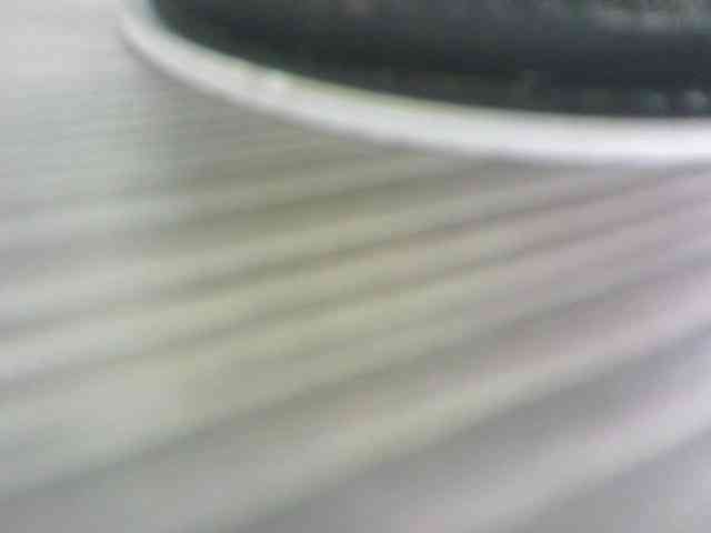 Jannetteeeeeeeeee12 webcam