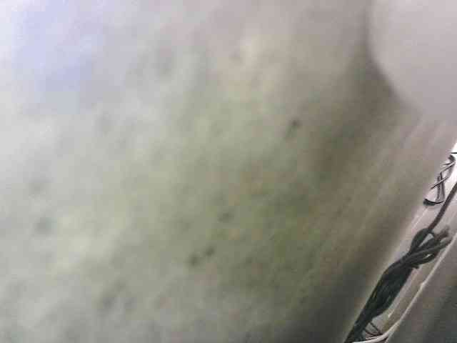 Jannetteeeeeeeeee12 webcam