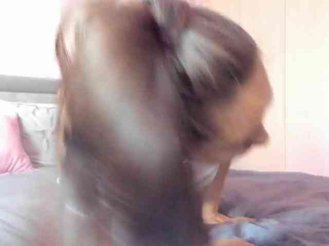 Bambiiiii webcam