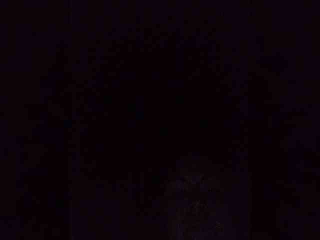 SweetAnn webcam