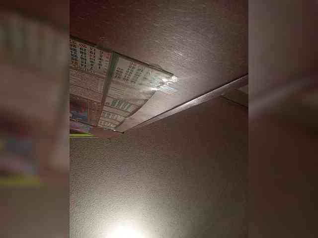 SweetAnn webcam