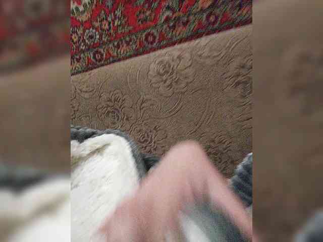 SweetAnn webcam