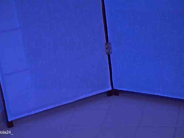 its-lola webcam