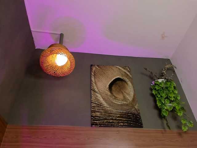 GinebraFox live cam on BongaCams