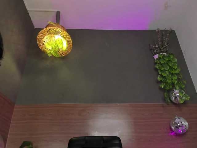 GinebraFox's BongaCams show and profile